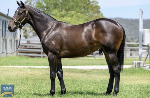 Tassort X Dubai House