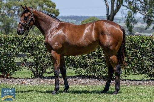Un-named (King's Legacy - Scarlet Tycoon)