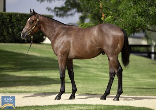 King's Legacy X Silver Spirit