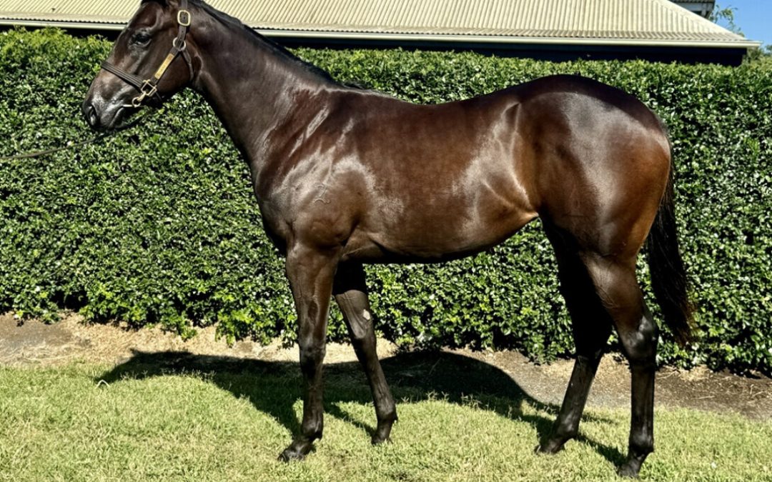 Un-named (Spirit Of Boom – Scarlet Tycoon)